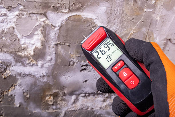 Best Professional Mold Removal  in Pocono Springs, PA