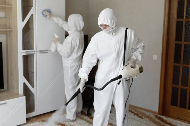 Best Residential Mold Removal  in Pocono Springs, PA