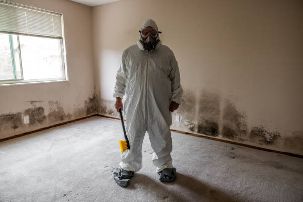 Office Mold Removal Services in Pocono Springs, PA